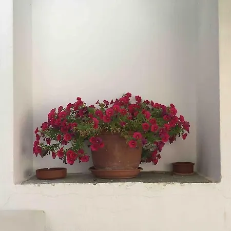 Traditional Two Story House In Naxos Galanado